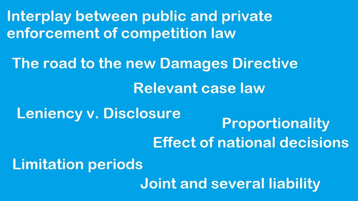 PART IV: Issues arising from the Directive on Damages Actions and the role of the national judge